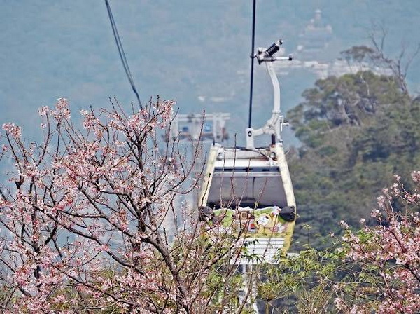 貓空纜車2026情人節打造「貓空之戀」 以「移動旅程」為主題的心動體驗 「浪...