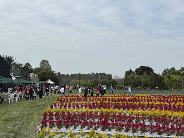 高雄農改場迎賓日熱鬧登場展現農業新科技 民眾參與熱絡