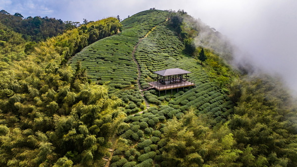 馬年走春農遊趣！農業部推全臺百大農遊點與親子行程攻略
