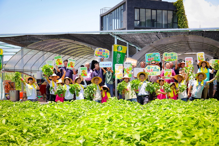 礁溪溫泉蔬菜上市了!田間開課體驗「從土地到餐桌」溫泉絲瓜、空心菜新鮮...