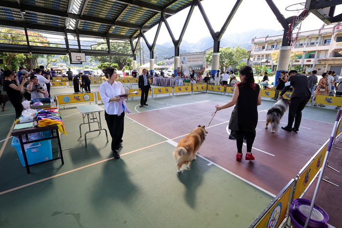 萌寵齊聚幸福宜蘭寵物嘉年華寵物登記及狂犬病疫苗守護毛孩